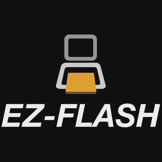 EZ Flash Omega